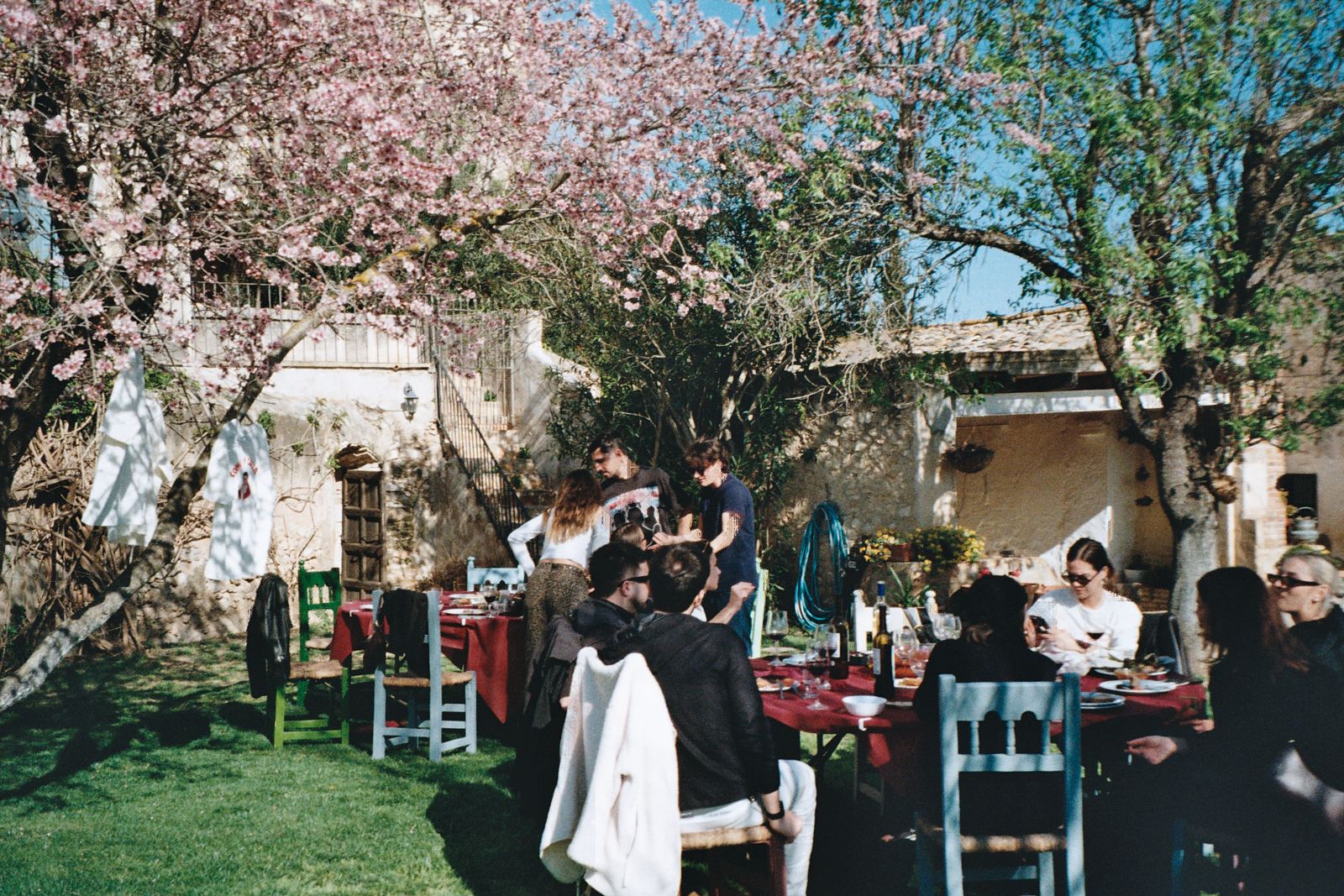 Comida al aire libre en el jardín de una masía, bajo un almendro en flor